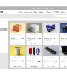 Ecommerce Store Owners